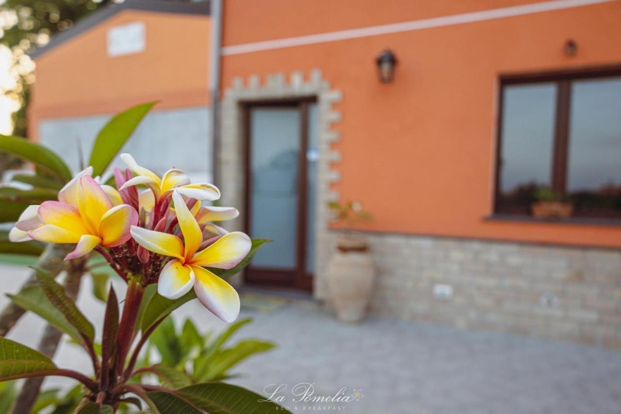 La Pomelia B&B Sofia Trappitello Buitenkant foto